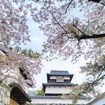 日本九州+福冈+熊本+大分5日4晚私家团 日本九州+福冈+熊本+大分5日4晚私家团