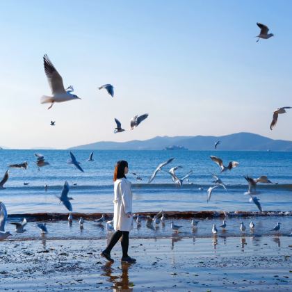 青岛+海合安青岛极地海洋公园4日3晚私家团 青岛+海合安青岛极地海洋公园4日3晚私家团