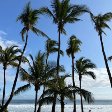 留尼汪(法属)+塞舌尔11日10晚私家团 留尼汪(法属)+塞舌尔11日10晚私家团