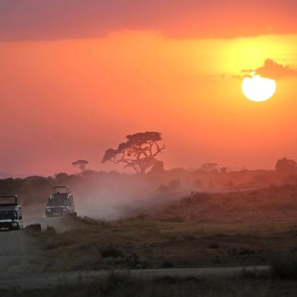 坦桑尼亚+四大国家公园+恩戈罗恩戈罗火山口9日私家团