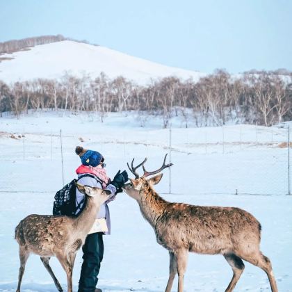 承德+避暑山庄+坝上+塞罕坝+乌兰布统4日3晚私家团 承德+避暑山庄+坝上+塞罕坝+乌兰布统4日3晚私家团