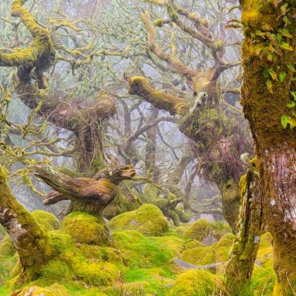 英国伦敦+温彻斯特+伯恩矛斯+埃克塞特+布里斯托尔+巴斯8日7晚拼小团 英国伦敦+温彻斯特+伯恩矛斯+埃克塞特+布里斯托尔+巴斯8日7晚拼小团