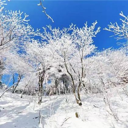 安徽六安+梅山水库风景区+天堂寨+马鬃岭自然保护区+大湾村3日2晚私家团