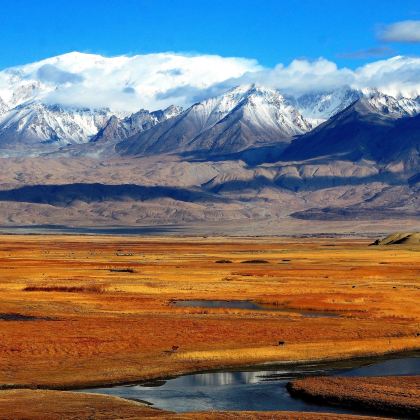 新疆乌鲁木齐+南疆+喀什市11日10晚私家团 新疆乌鲁木齐+南疆+喀什市11日10晚私家团