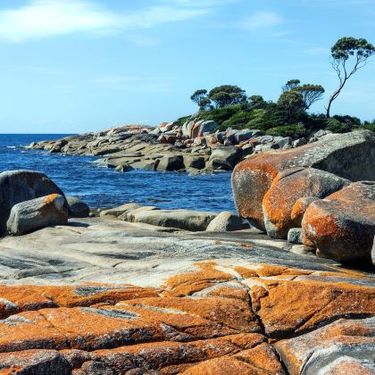 澳大利亚塔斯马尼亚霍巴特+布鲁尼岛+菲欣纳国家公园+摇篮山+惠灵顿山+酒杯湾+斯旺西+Coles Bay Jetty10日9晚私家团 澳大利亚塔斯马尼亚霍巴特+布鲁尼岛+菲欣纳国家公园+摇篮山+惠灵顿山+酒杯湾+斯旺西+Coles Bay Jetty10日9晚私家团