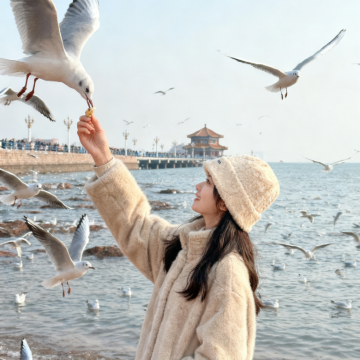 青岛2日1晚跟团游 青岛2日1晚跟团游