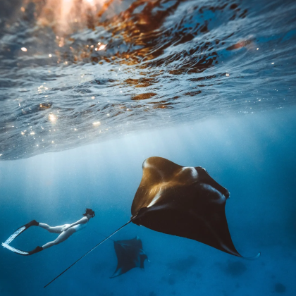 澳大利亚凯恩斯6日4晚私家团 澳大利亚凯恩斯6日4晚私家团