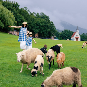 云南昆明+大理市+丽江6日5晚自由行 云南昆明+大理市+丽江6日5晚自由行