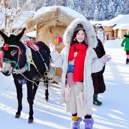 哈尔滨+雪乡+长白山6日5晚私家团 哈尔滨+雪乡+长白山6日5晚私家团
