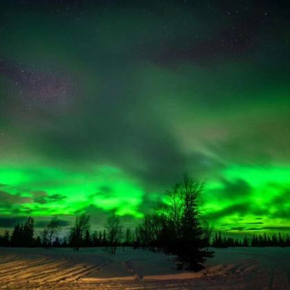 俄罗斯莫斯科+圣彼得堡+摩尔曼斯克9日跟团游 俄罗斯莫斯科+圣彼得堡+摩尔曼斯克9日跟团游