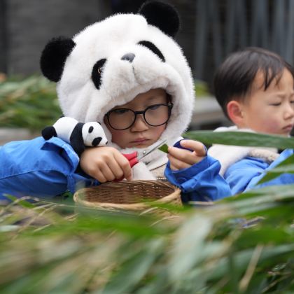 动物保护·成都卧龙神树坪熊猫苑1日亲子营/独立营 <沉浸式体验大熊猫义工> 近距离观看大熊猫&颁发国际高含金量义工证书