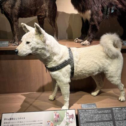 日本仙台+平泉町+鸣子峡5日4晚私家团 日本仙台+平泉町+鸣子峡5日4晚私家团