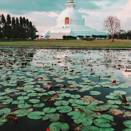 尼泊尔加德满都+奇旺+蓝毗尼+博卡拉+纳加阔特8日7晚私家团 尼泊尔加德满都+奇旺+蓝毗尼+博卡拉+纳加阔特8日7晚私家团