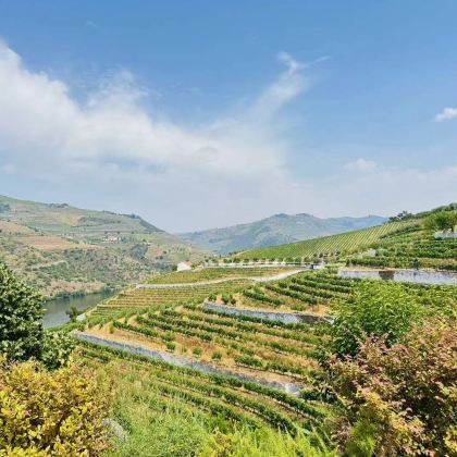 波尔图+里斯本+杜罗河+科英布拉8日7晚私家团 波尔图+里斯本+杜罗河+科英布拉8日7晚私家团