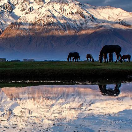 新疆喀什市+帕米尔高原2日1晚拼小团 新疆喀什市+帕米尔高原2日1晚拼小团