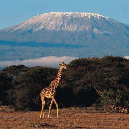 安博塞利国家公园+肯尼亚山国家公园+马赛马拉国家公园+甜水野生动物保护区12日9晚跟团游