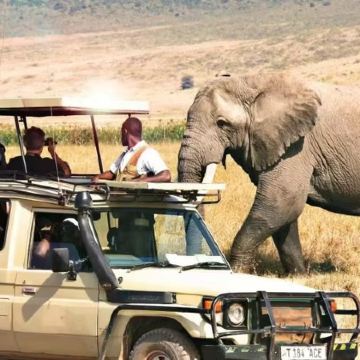 坦桑尼亚+阿鲁沙12日10晚私家团 坦桑尼亚+阿鲁沙12日10晚私家团