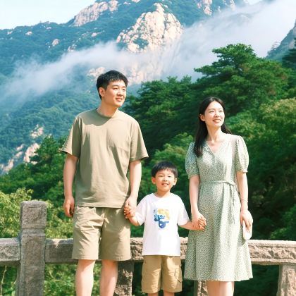 山东曲阜+泰山风景区+济南3日2晚跟团游 山东曲阜+泰山风景区+济南3日2晚跟团游