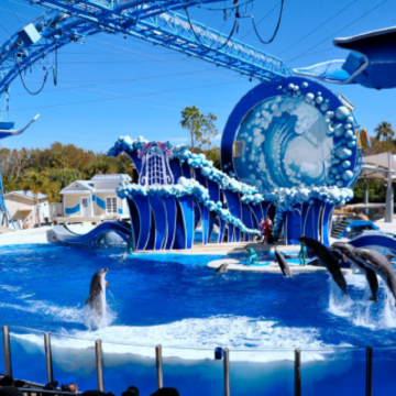 美国奥兰多佛罗里达环球影城6日5晚私家团 美国奥兰多佛罗里达环球影城6日5晚私家团