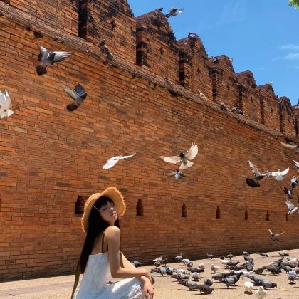 泰国清迈+双龙寺+茵他侬国家公园6日5晚私家团 泰国清迈+双龙寺+茵他侬国家公园6日5晚私家团