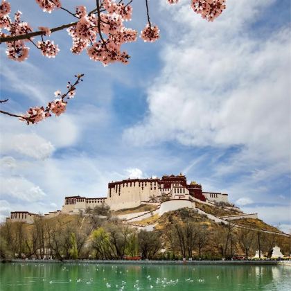 拉萨+林芝+布达拉宫5日4晚私家团 拉萨+林芝+布达拉宫5日4晚私家团