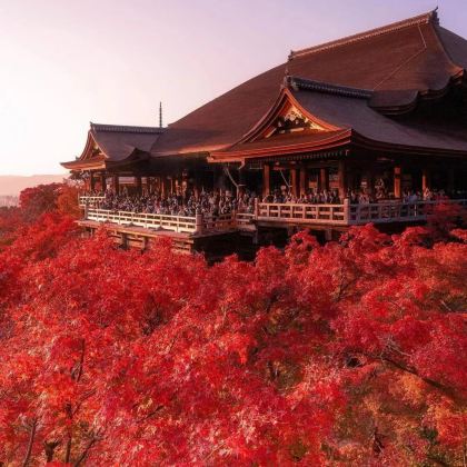 日本大阪+京都+奈良+神户6日5晚私家团 日本大阪+京都+奈良+神户6日5晚私家团
