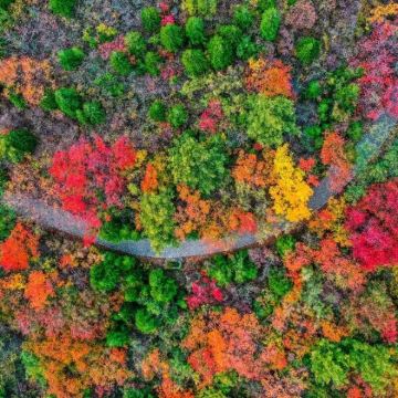 台州府城文化旅游区+天台山景区+神仙居3日2晚私家团 台州府城文化旅游区+天台山景区+神仙居3日2晚私家团
