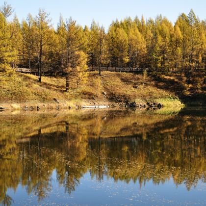 呼伦贝尔+阿尔山+满洲里6日5晚跟团游 呼伦贝尔+阿尔山+满洲里6日5晚跟团游