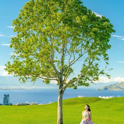 云南昆明+大理市+丽江6日5晚自由行 云南昆明+大理市+丽江6日5晚自由行