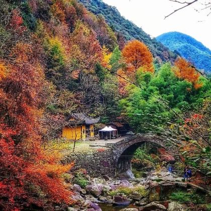 衢州古城文化旅游区+江郎山风景名胜区+廿八都古镇+婺源篁岭3日2晚拼小团 衢州古城文化旅游区+江郎山风景名胜区+廿八都古镇+婺源篁岭3日2晚拼小团