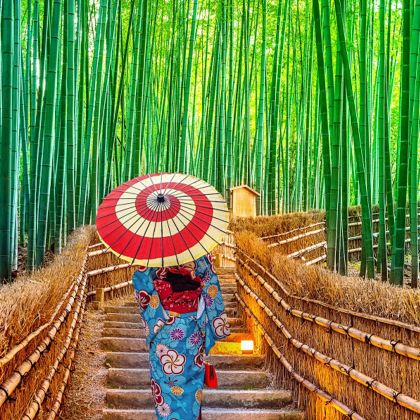 日本大阪+京都+奈良+神户6日5晚跟团游 日本大阪+京都+奈良+神户6日5晚跟团游