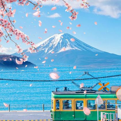 日本东京+富士山+镰仓市+名古屋+京都+大阪+奈良8日跟团游 日本东京+富士山+镰仓市+名古屋+京都+大阪+奈良8日跟团游