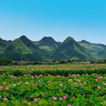 云南昆明+建水+元阳+罗平+普者黑风景区+弥勒6日5晚私家团 云南昆明+建水+元阳+罗平+普者黑风景区+弥勒6日5晚私家团