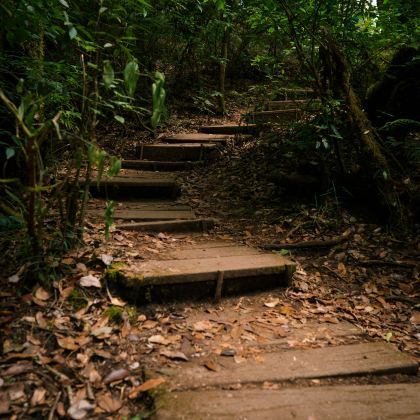 泰国清迈+清莱7日6晚私家团 泰国清迈+清莱7日6晚私家团