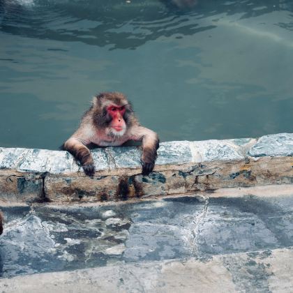 日本北海道8日私家团 日本北海道8日私家团