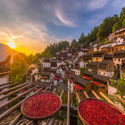 宏村+黄山风景区+婺源篁岭3日2晚跟团游 宏村+黄山风景区+婺源篁岭3日2晚跟团游