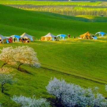 新疆乌鲁木齐+伊犁8日7晚跟团游 新疆乌鲁木齐+伊犁8日7晚跟团游