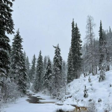 芬兰+挪威10日8晚拼小团 芬兰+挪威10日8晚拼小团
