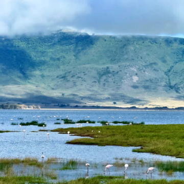 坦桑尼亚10日9晚跟团游 坦桑尼亚10日9晚跟团游