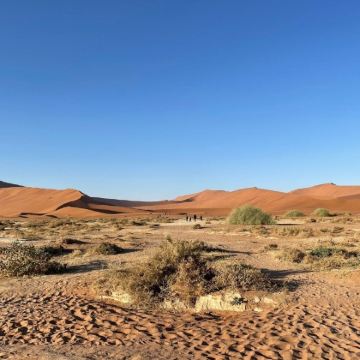 南非+津巴布韦+赞比亚12日11晚私家团 南非+津巴布韦+赞比亚12日11晚私家团