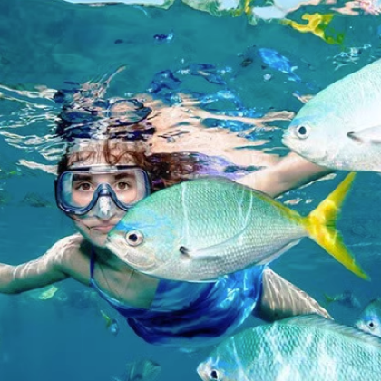 马来西亚吉隆坡+兰卡威+槟城8日7晚拼小团 马来西亚吉隆坡+兰卡威+槟城8日7晚拼小团