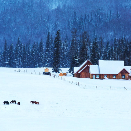 新疆乌鲁木齐+北疆10日9晚拼小团 新疆乌鲁木齐+北疆10日9晚拼小团