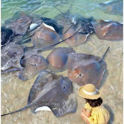 陵水5日4晚私家团 陵水5日4晚私家团