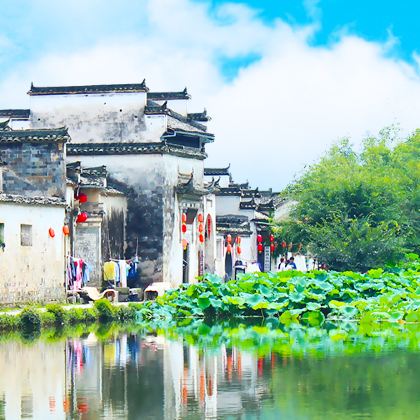 婺源+宏村3日2晚跟团游 婺源+宏村3日2晚跟团游