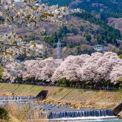 日本东京+富士山+大阪+奈良7日6晚拼小团 日本东京+富士山+大阪+奈良7日6晚拼小团