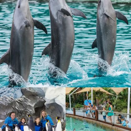 澳大利亚黄金海岸5日4晚私家团 澳大利亚黄金海岸5日4晚私家团