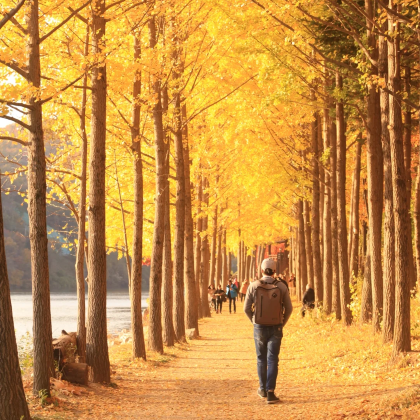 韩国首尔+南怡岛4日3晚私家团 韩国首尔+南怡岛4日3晚私家团