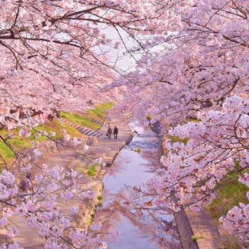日本福冈5日4晚私家团 日本福冈5日4晚私家团