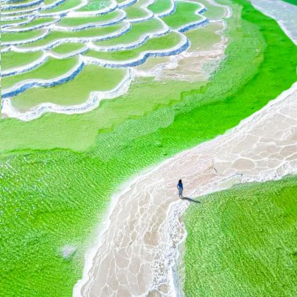 青海西宁+青海湖景区+茶卡盐湖+敦煌莫高窟8日7晚跟团游 青海西宁+青海湖景区+茶卡盐湖+敦煌莫高窟8日7晚跟团游