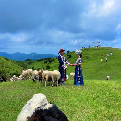 仰天湖大草原+东江湖旅游区+高椅岭旅游区2日1晚私家团 仰天湖大草原+东江湖旅游区+高椅岭旅游区2日1晚私家团